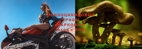 спиды Алексин