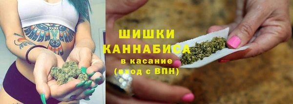 гашик Алзамай