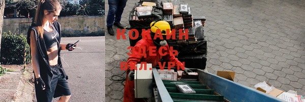спиды Алексин